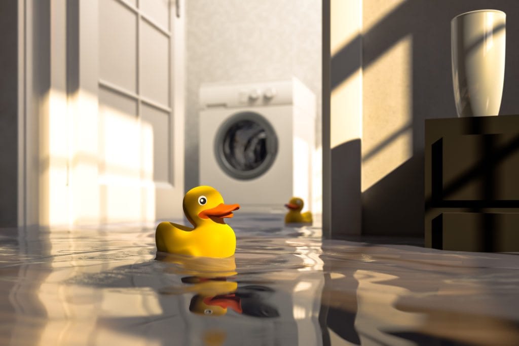 rubber ducky flood