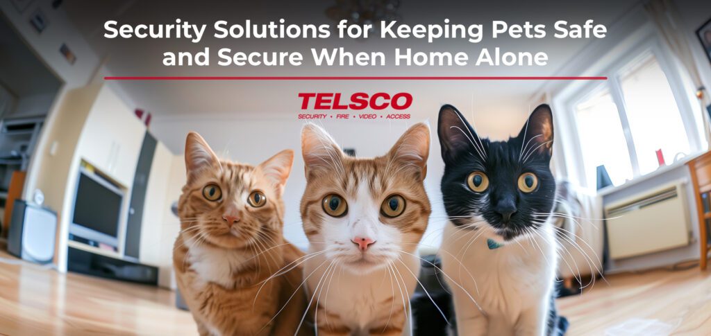 Security Solutions for Keeping Pets Safe